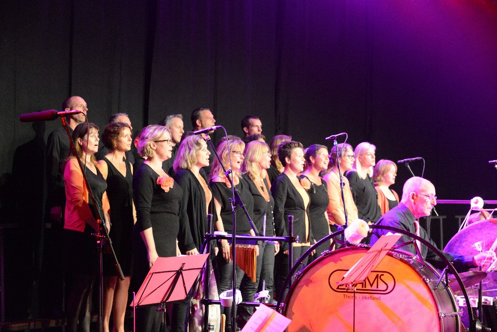 ../Images/Jubileumconcert 100 jaar Harpe Davids 221.jpg
